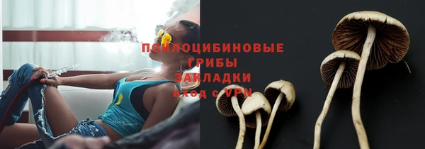 ECSTASY Белокуриха