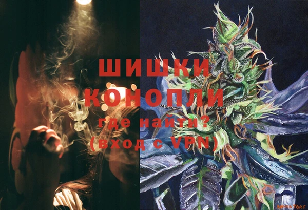 бошки Заполярный