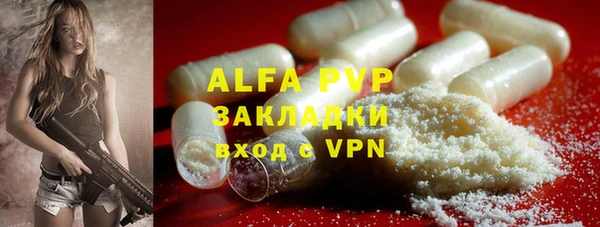 ECSTASY Белокуриха