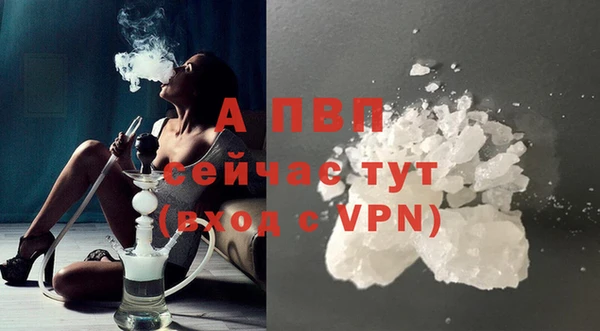 гидра Белоозёрский