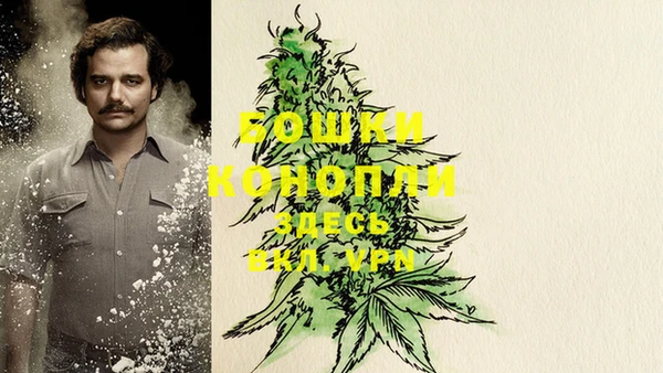 ECSTASY Белокуриха