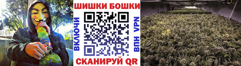 закладки  Короча  Шишки марихуана SATIVA & INDICA 